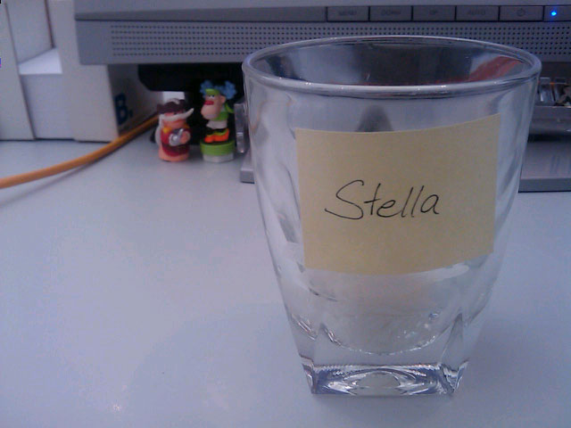 stella2.jpg